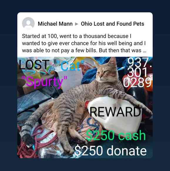 Meet your Posher, Michael - Picture 1 of 1